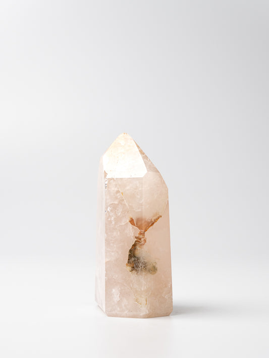Rose Golden Healer Toren | 02