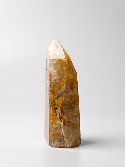 Golden Healer Toren | 01