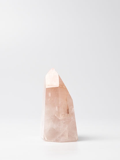Rose Golden Healer Toren | 05