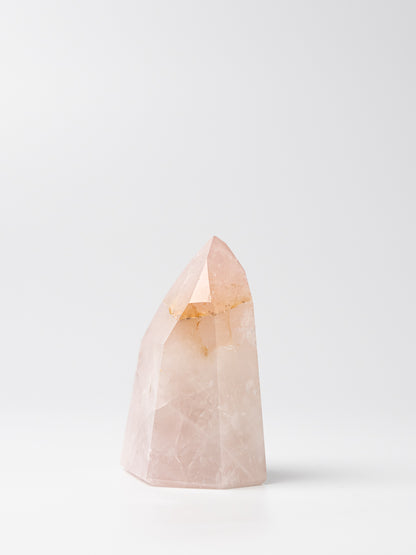 Rose Golden Healer Toren | 05