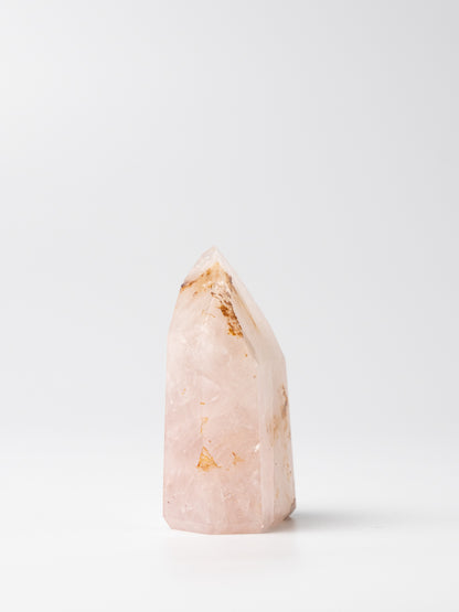 Rose Golden Healer Toren | 04