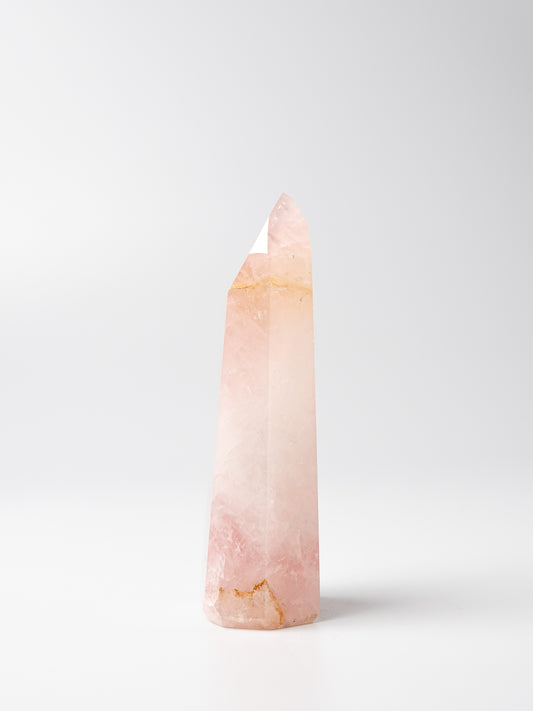 Rose Golden Healer Toren | 03