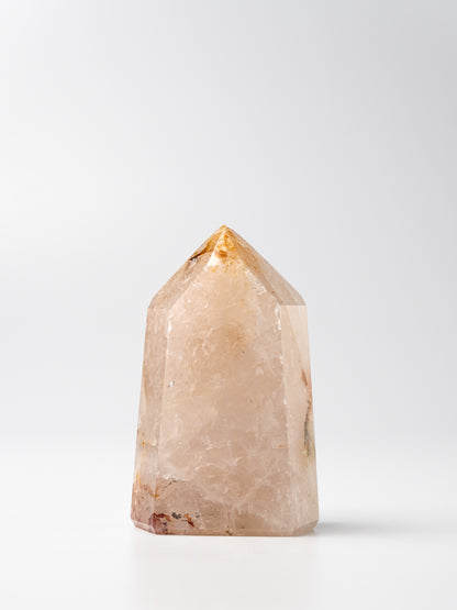 Rose Golden Healer Toren | 02