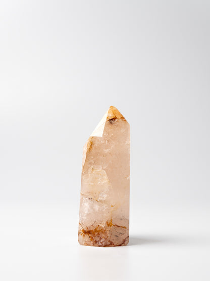 Rose Golden Healer Toren | 02