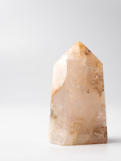 Rose Golden Healer Toren | 02