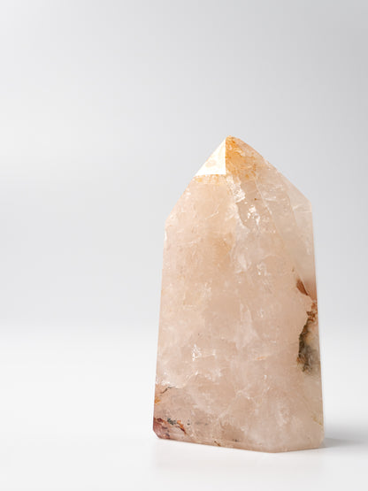 Rose Golden Healer Toren | 02